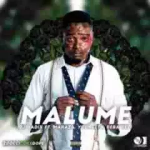 DJ Radix - Malume Ft. Maraza, Youngsta